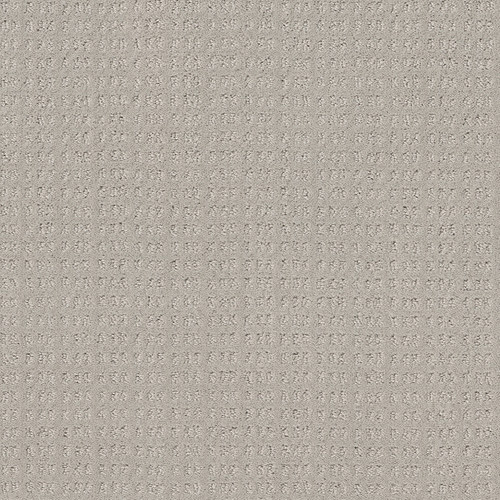 ESSENTIAL NOW - Split Sediment 00104