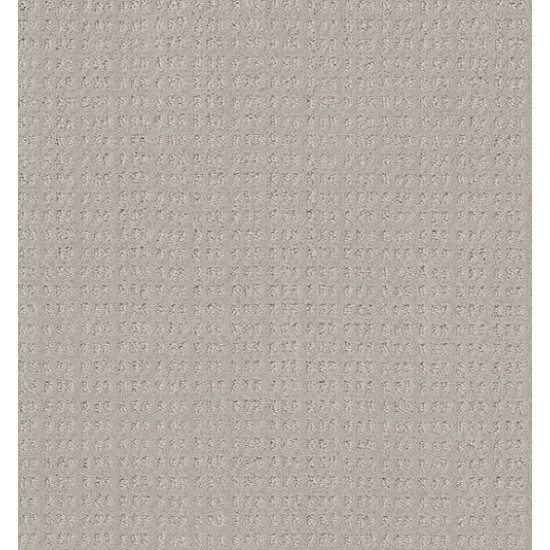 ESSENTIAL NOW - Split Sediment 00104