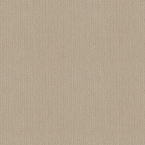 ESSENTIAL NOW - Butter Cream 00107
