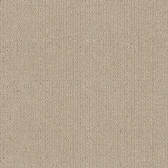 ESSENTIAL NOW - Butter Cream 00107 ESSENTIAL NOW - Butter Cream 00107
