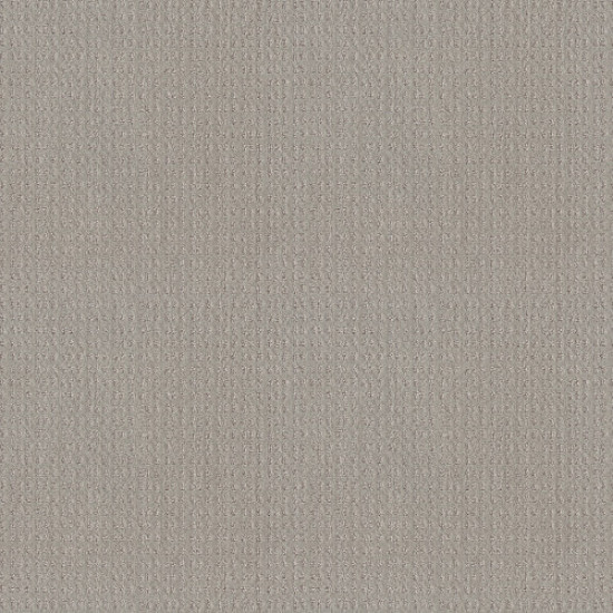 ESSENTIAL NOW - Silver Lining 00500 ESSENTIAL NOW - Silver Lining 00500