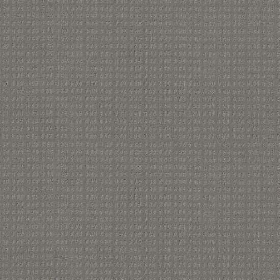 ESSENTIAL NOW - Grey Fox 00504