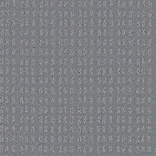ESSENTIAL NOW - Grey Fox 00504