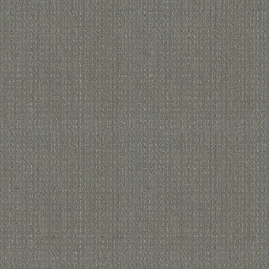 ESSENTIAL NOW - Grey Fox 00504