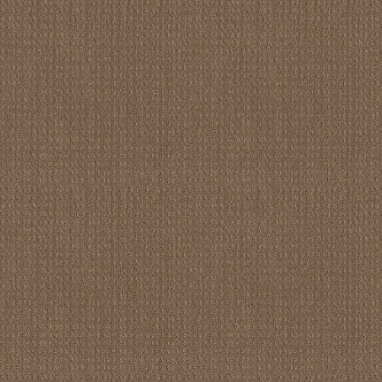 ESSENTIAL NOW - Raw Wood 00720 ESSENTIAL NOW - Raw Wood 00720