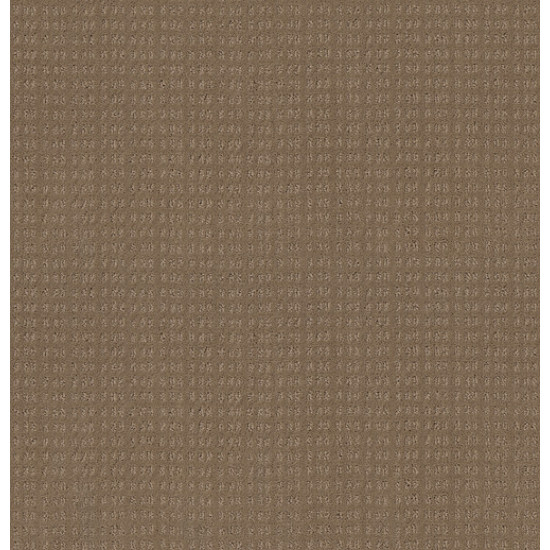 ESSENTIAL NOW - Raw Wood 00720 ESSENTIAL NOW - Raw Wood 00720