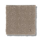 ESSENTIAL NOW - Desert View 00701
