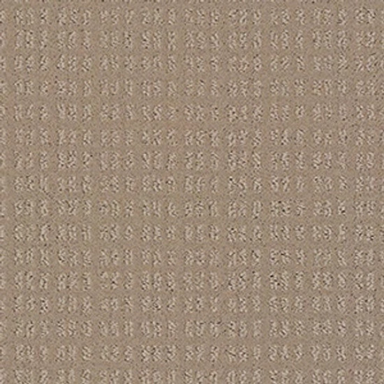 ESSENTIAL NOW - Desert View 00701