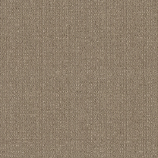 ESSENTIAL NOW - Desert View 00701