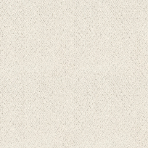 FORMALIZE - Serene Still 00101