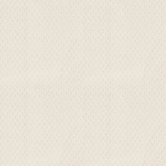 FORMALIZE - Serene Still 00101 FORMALIZE - Serene Still 00101