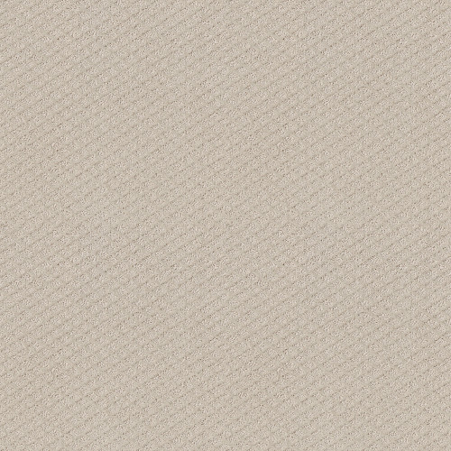 FORMALIZE - Washed Linen 00103