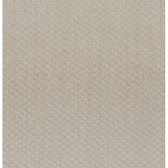 FORMALIZE - Fossil Path 00108 FORMALIZE - Fossil Path 00108