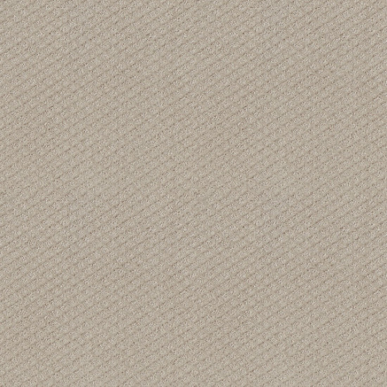 FORMALIZE - Fossil Path 00108 FORMALIZE - Fossil Path 00108