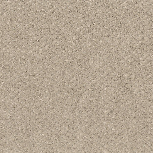 FORMALIZE - Butter Cream 00107