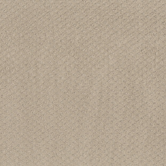 FORMALIZE - Butter Cream 00107