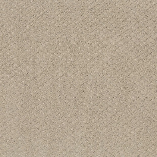 FORMALIZE - Butter Cream 00107