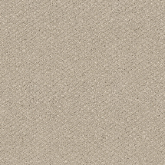 FORMALIZE - Butter Cream 00107