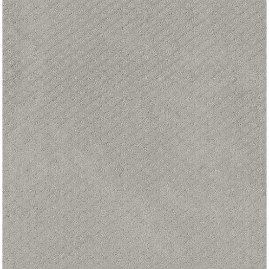 FORMALIZE - Silver Lining 00500