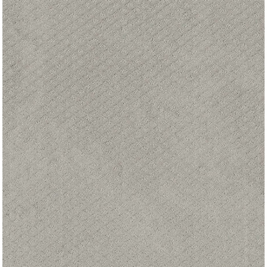 FORMALIZE - Silver Lining 00500