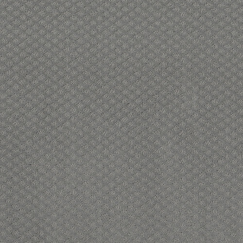 FORMALIZE - Grey Fox 00504