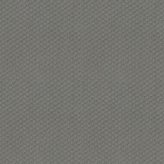 FORMALIZE - Grey Fox 00504