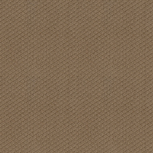 FORMALIZE - Raw Wood 00720