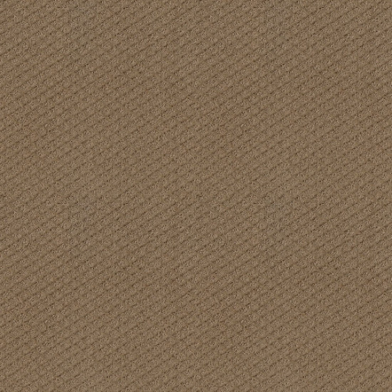 FORMALIZE - Raw Wood 00720