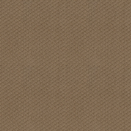 FORMALIZE - Raw Wood 00720