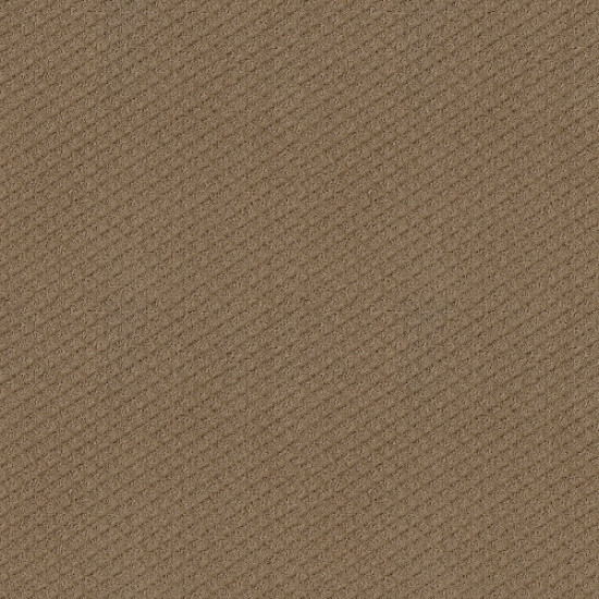 FORMALIZE - Raw Wood 00720