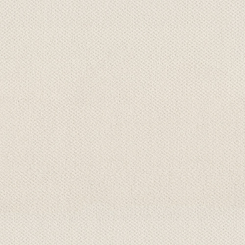 MAINSTAY - Serene Still 00101