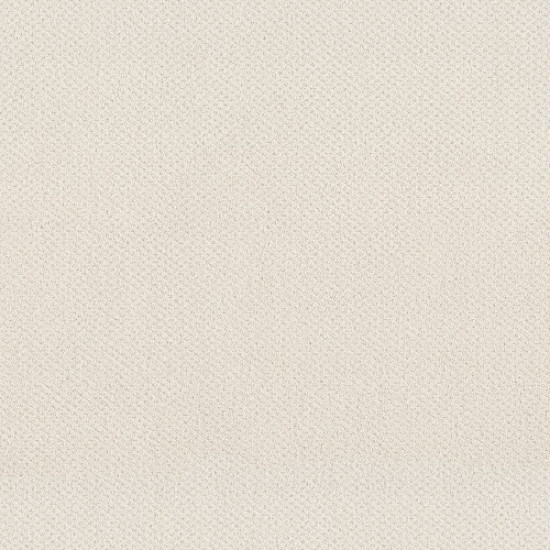 MAINSTAY - Serene Still 00101 MAINSTAY - Serene Still 00101