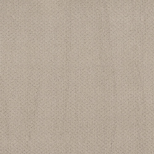 MAINSTAY - Fossil Path 00108