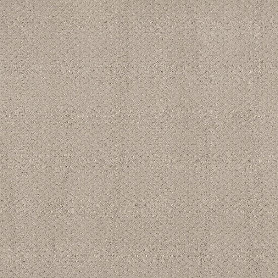 MAINSTAY - Fossil Path 00108 MAINSTAY - Fossil Path 00108