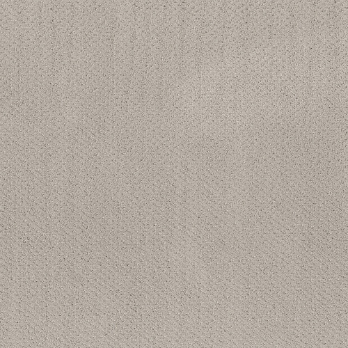 MAINSTAY - Split Sediment 00104