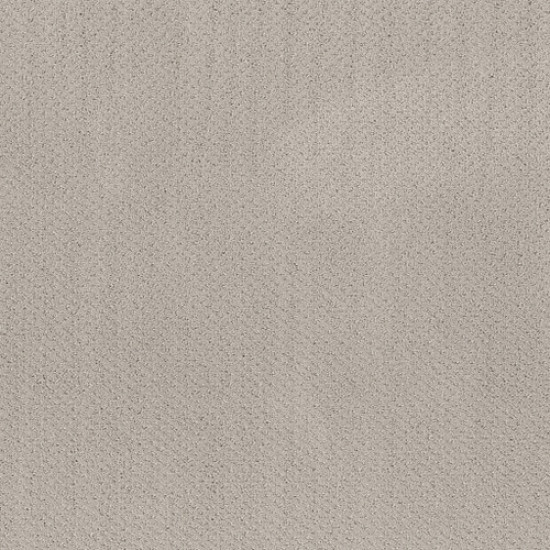 MAINSTAY - Split Sediment 00104 MAINSTAY - Split Sediment 00104