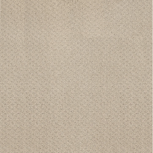 MAINSTAY - Butter Cream 00107