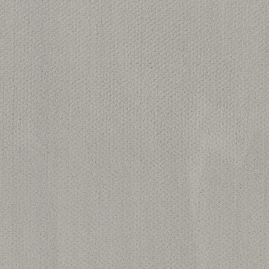MAINSTAY - Silver Lining 00500 MAINSTAY - Silver Lining 00500