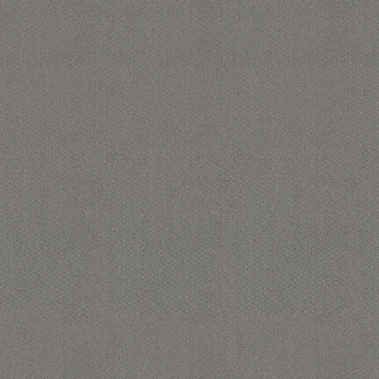 MAINSTAY - Grey Fox 00504 MAINSTAY - Grey Fox 00504