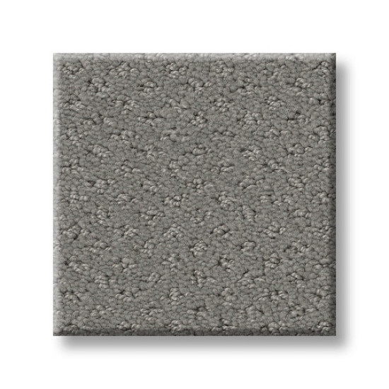 MAINSTAY - Grey Fox 00504 MAINSTAY - Grey Fox 00504