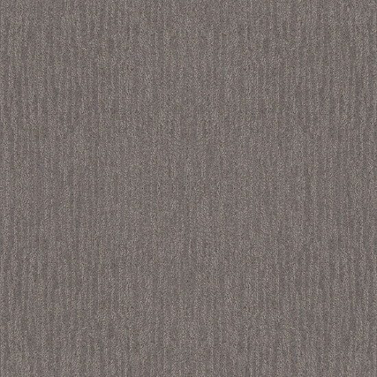 EASY FIT - Deck 00500 EASY FIT - Deck 00500