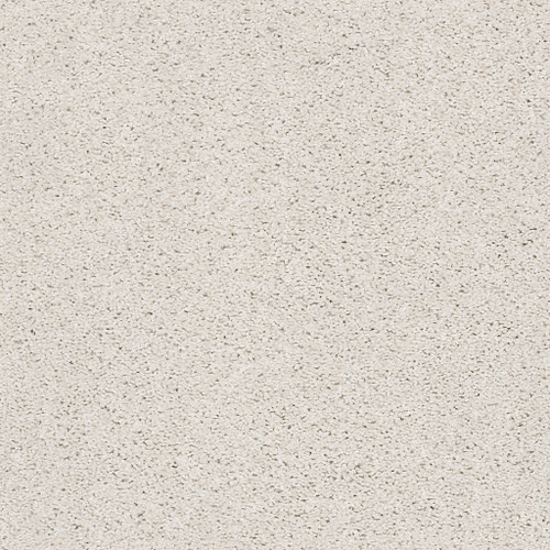 SUAVE - Canvas 00190