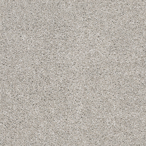 SUAVE - Birch 00591