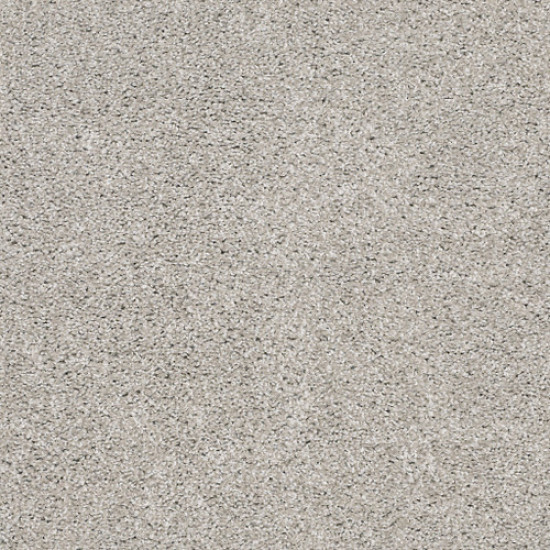 SUAVE - Birch 00591 SUAVE - Birch 00591