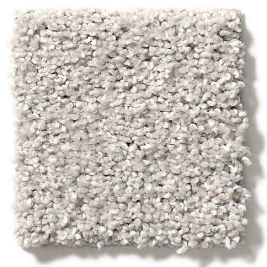 SUAVE - Birch 00591 SUAVE - Birch 00591