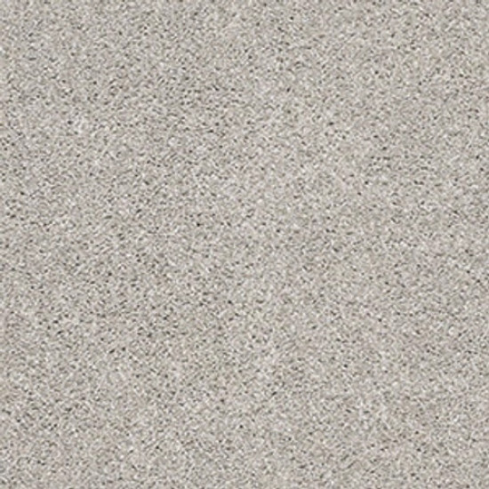 SUAVE - Birch 00591 SUAVE - Birch 00591