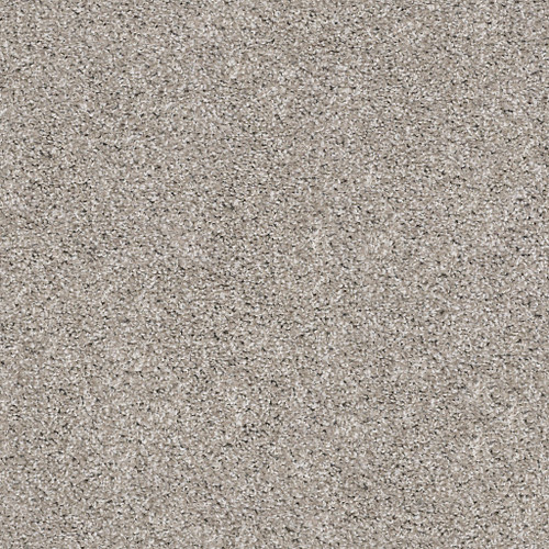 SUAVE - Mushroom 00594