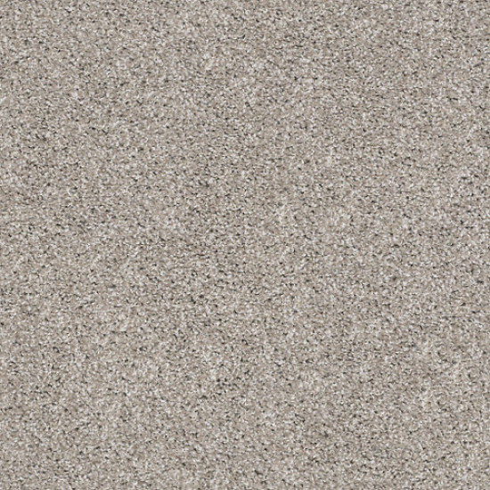 SUAVE - Mushroom 00594 SUAVE - Mushroom 00594