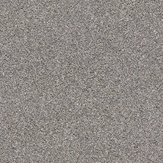 SUAVE - Tree Trunk 00713 SUAVE - Tree Trunk 00713