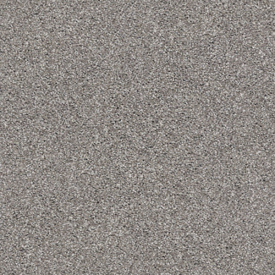 SUAVE - Tree Trunk 00713 SUAVE - Tree Trunk 00713